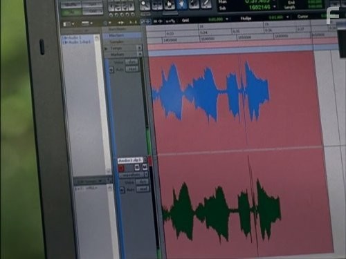 Звезда-малолетка (2004)