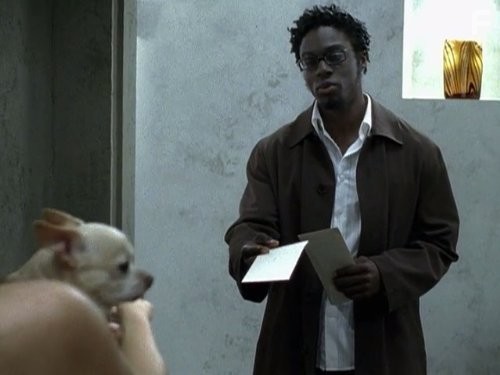 Звезда-малолетка (2004)