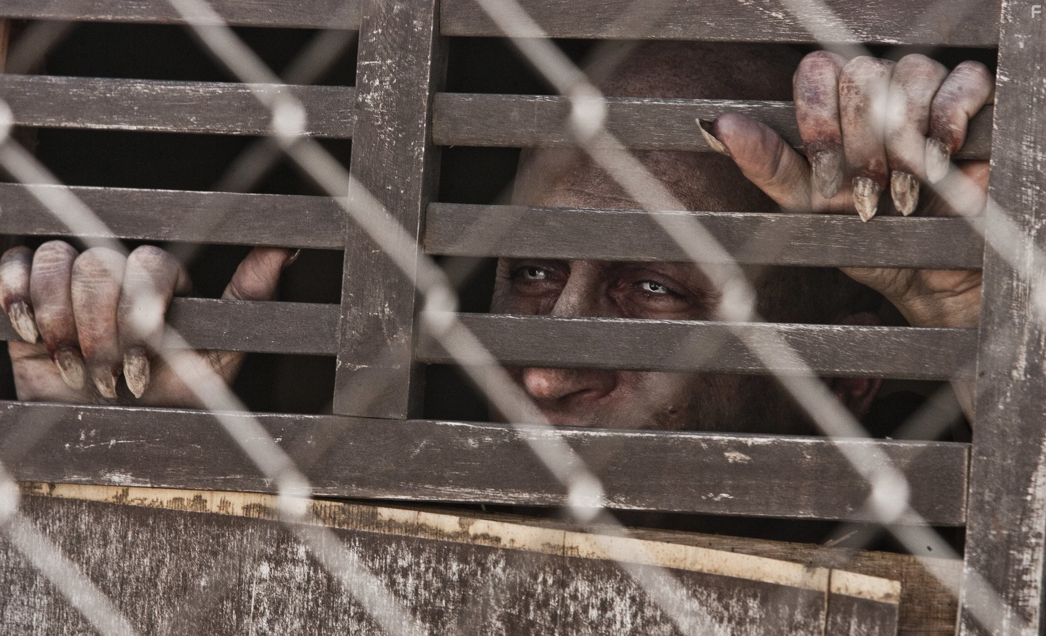 Пастырь (2011)