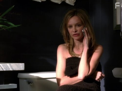 Calista Flockhart in Братья и сестры (2006)