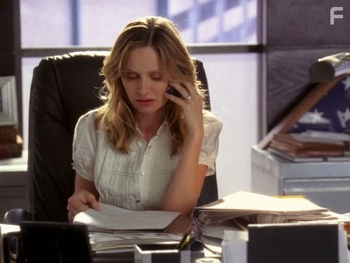 Calista Flockhart in Братья и сестры (2006)