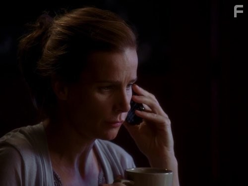 Rachel Griffiths in Братья и сестры (2006)