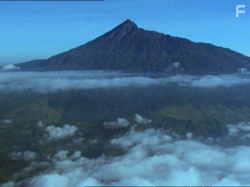 Неприрученные #1