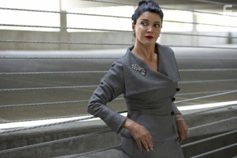 Shohreh Aghdashloo in Воры Экстра класса (2006)