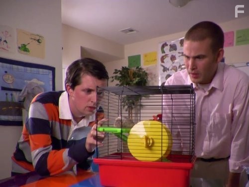 Городские приматы (2007)