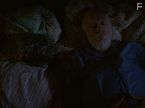 Городские приматы (2007)