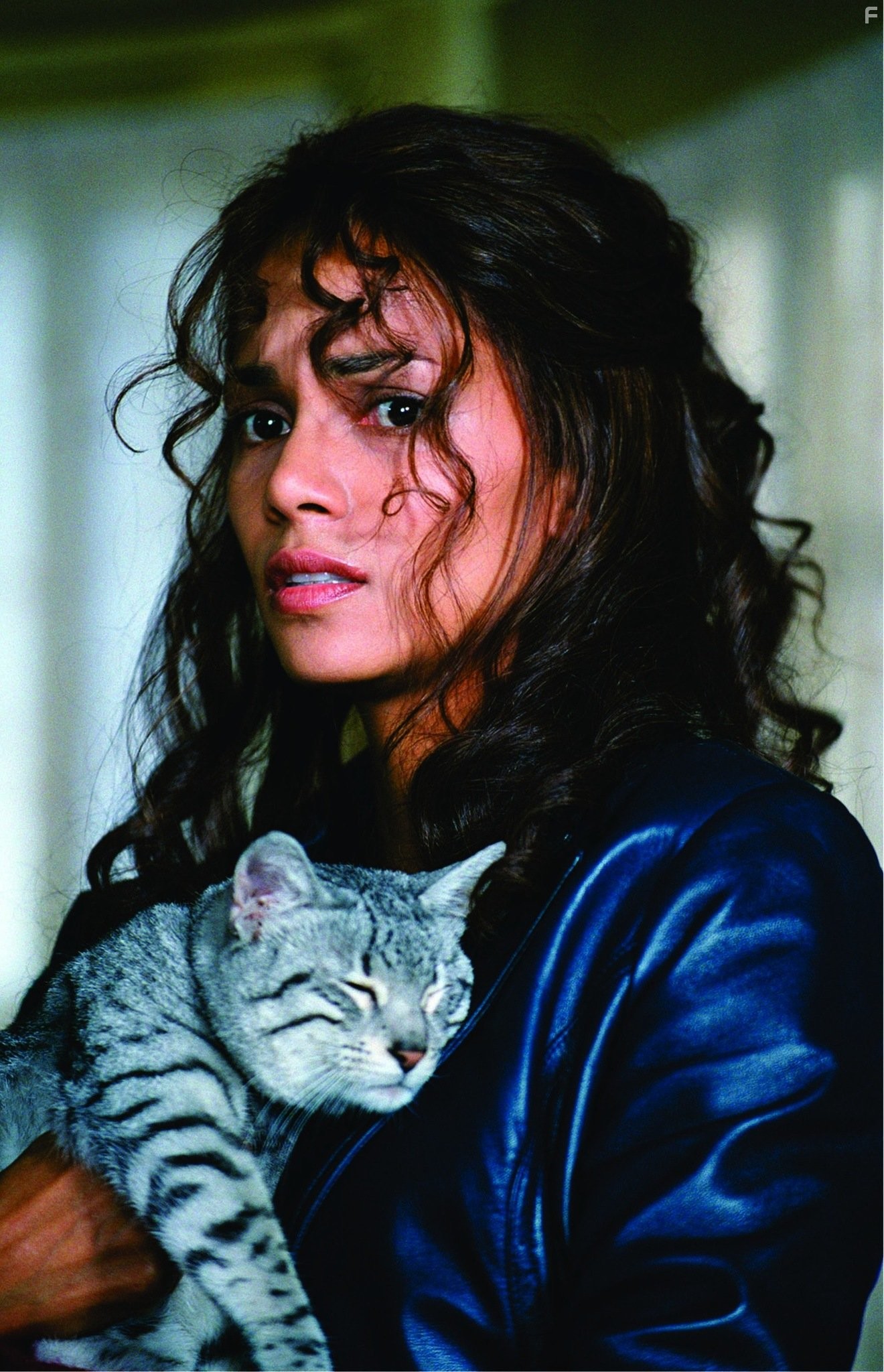 Halle Berry in Женщина-кошка (2004)