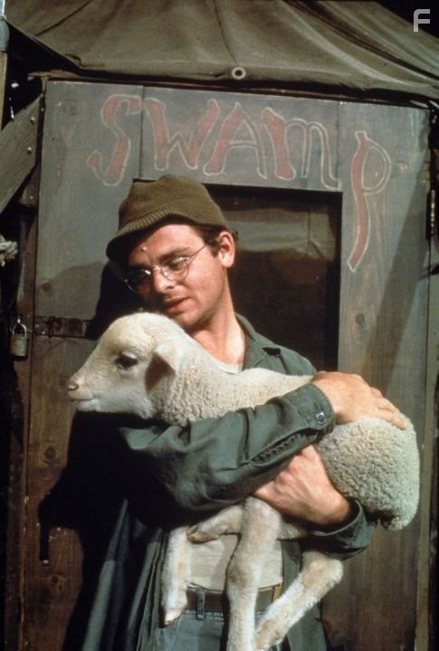 Gary Burghoff in Чертова служба в гoспитале M*A*S*H (1972)