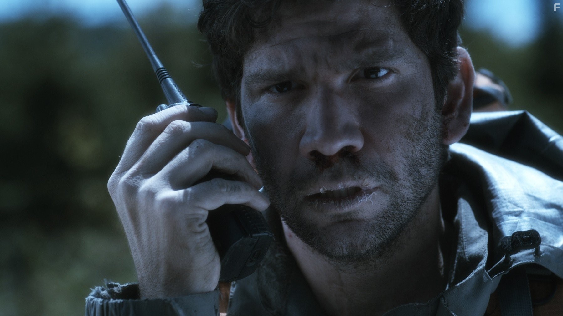 Дорога из желтого кирпича (2010)