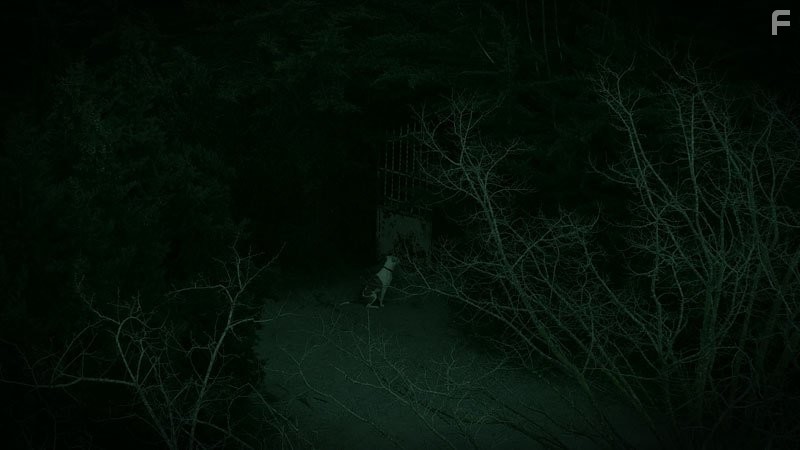 Зверское (2010)