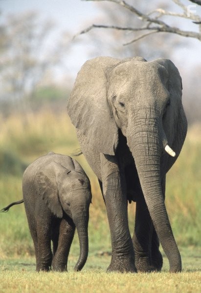 Земля - Картина нашей планеты
