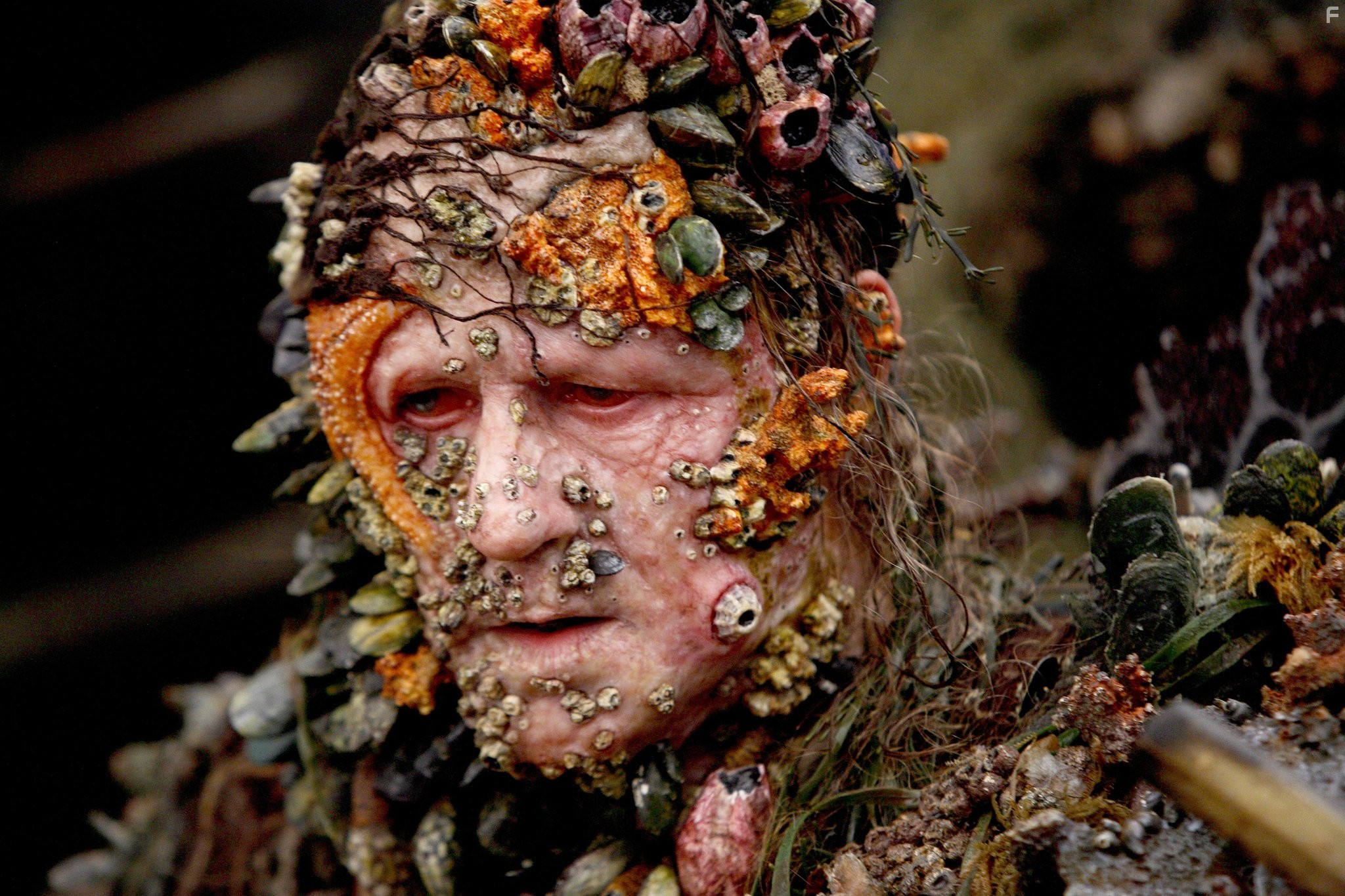 Stellan Skarsg?rd in Пираты Карибского моря: На краю Света (2007)