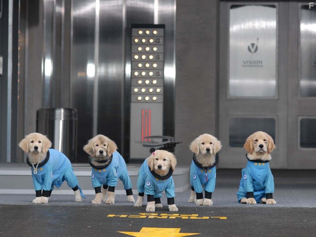 Космiчнi пригоди цуценят (2009)