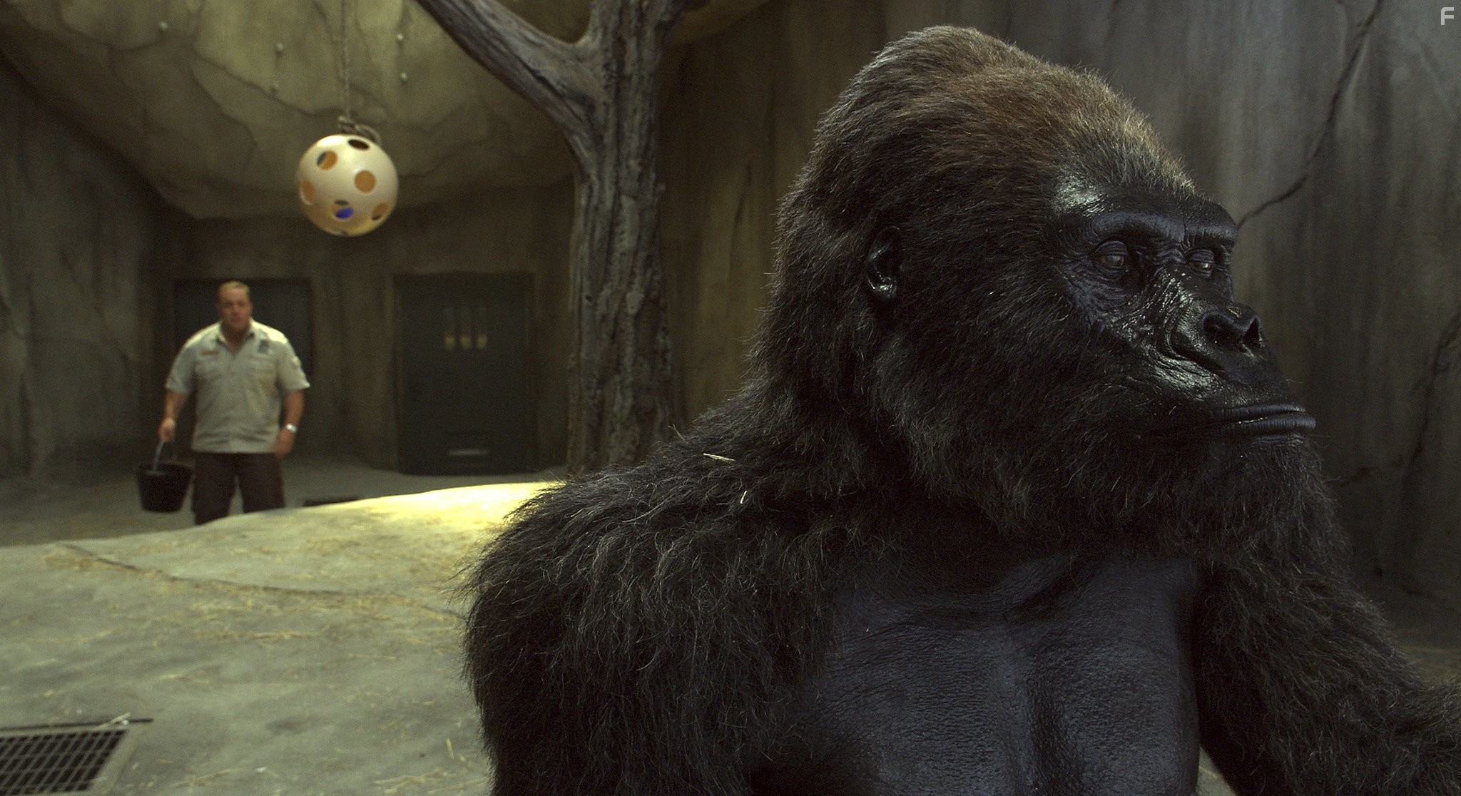 Kevin James in Мой парень из зоопарка (2011)