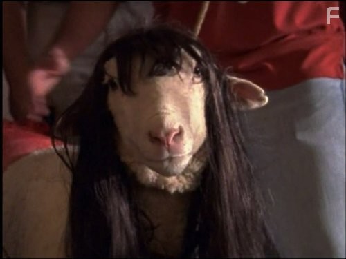 Неопределившиеся (2001)