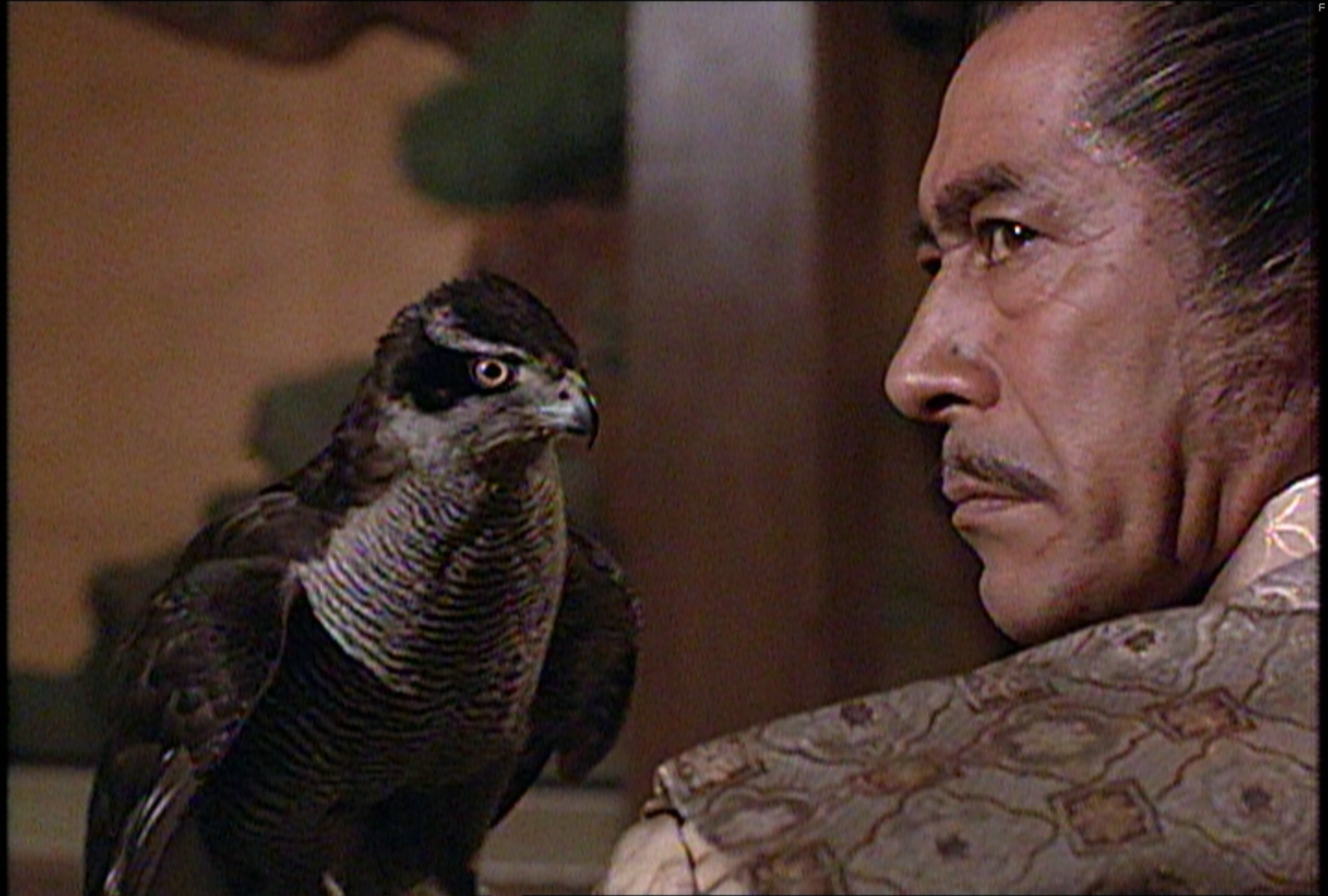 Toshir? Mifune in Сёгун (1980)