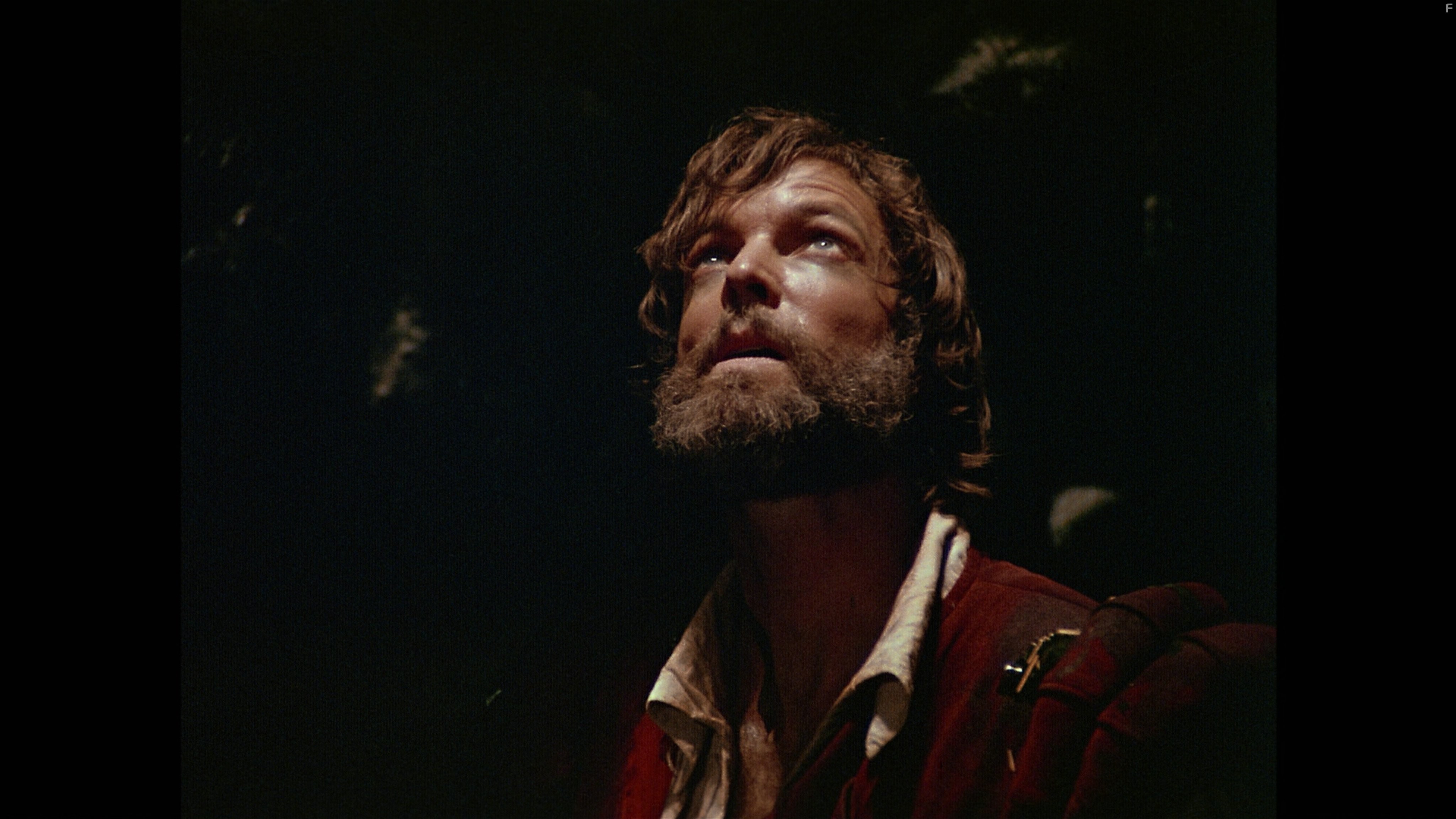 Richard Chamberlain in Сёгун (1980)