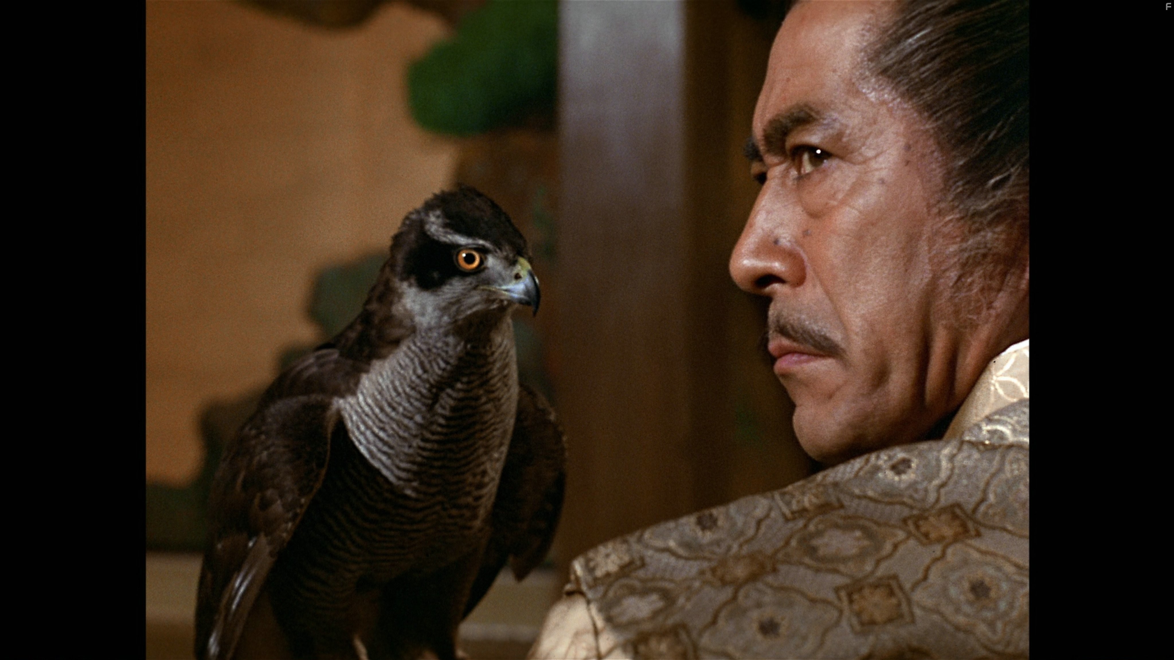 Toshir? Mifune in Сёгун (1980)