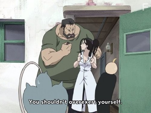 Стальной алхимик (2009)