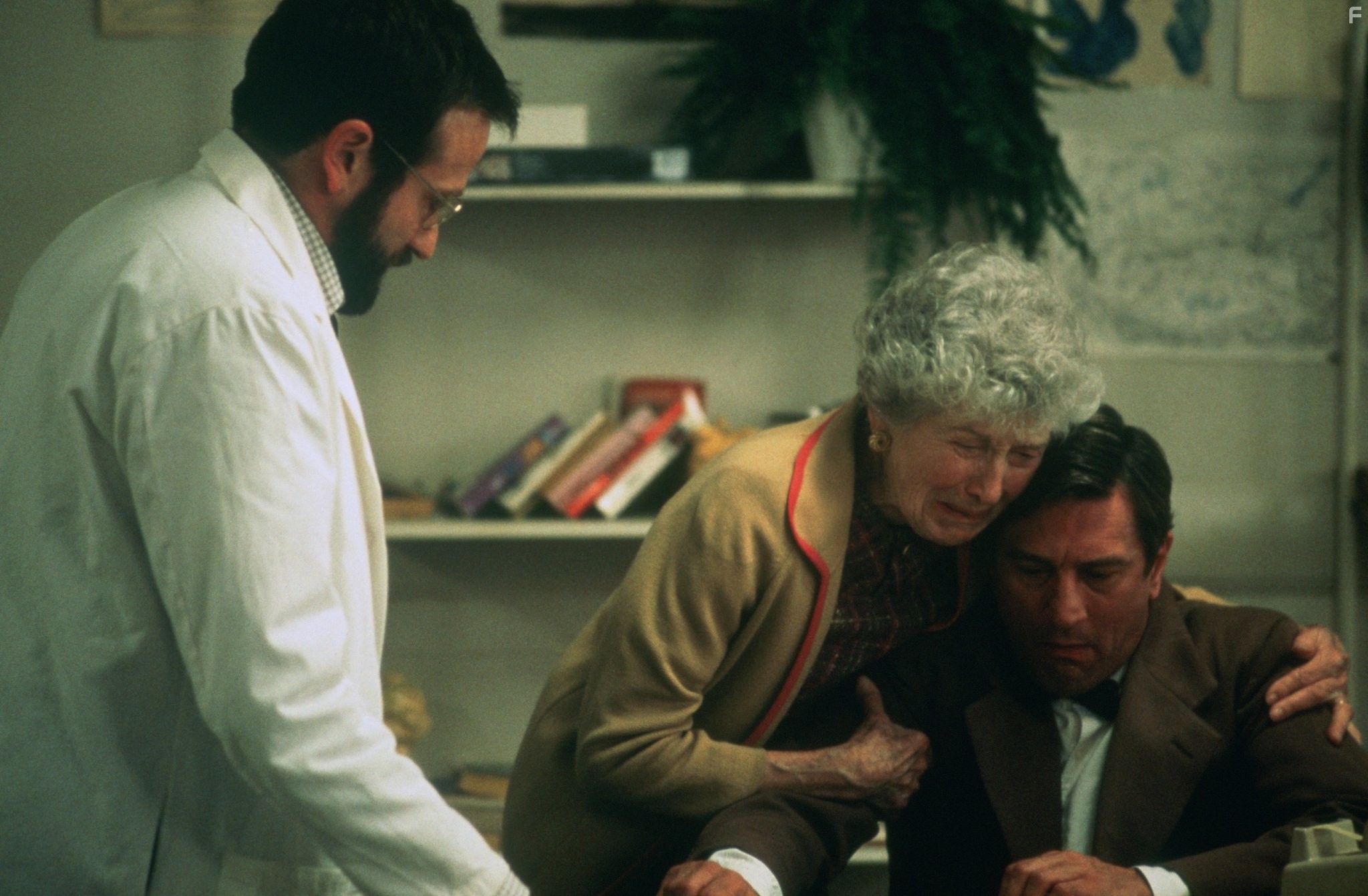 Robert De Niro, Robin Williams, and Ruth Nelson in Пробуждение (1990)