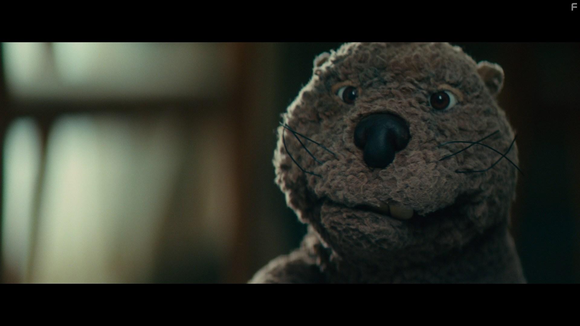 The Beaver (2011)