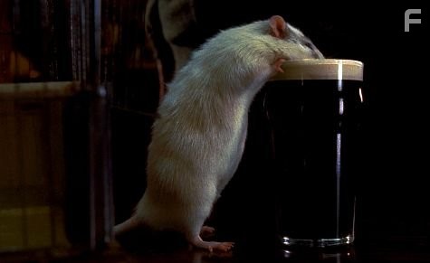 Rat (2000)