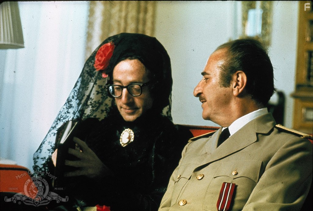 Woody Allen and Carlos Montalb?n in Бананы (1971)