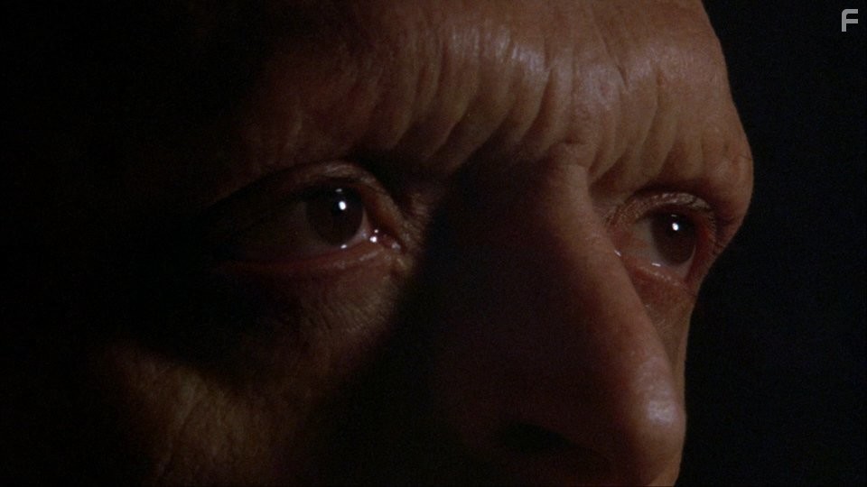 Michael Berryman in Смертельное благословение (1981)