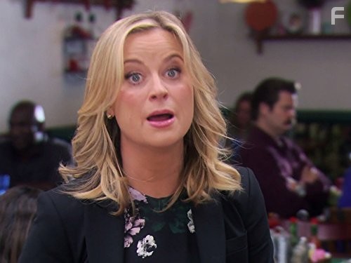 Nick Offerman and Amy Poehler in Парки и зоны отдыха (2009)