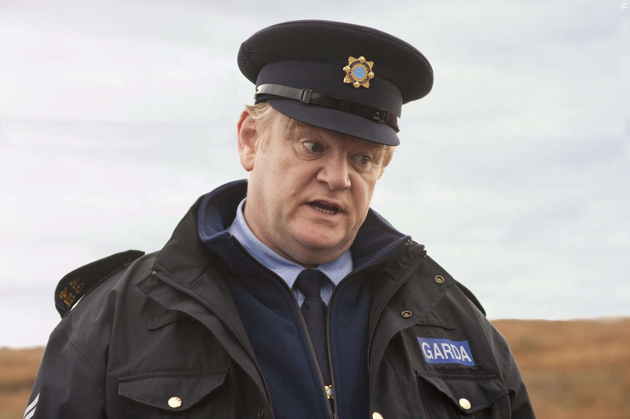 Brendan Gleeson in Однажды в Ирландии (2011)