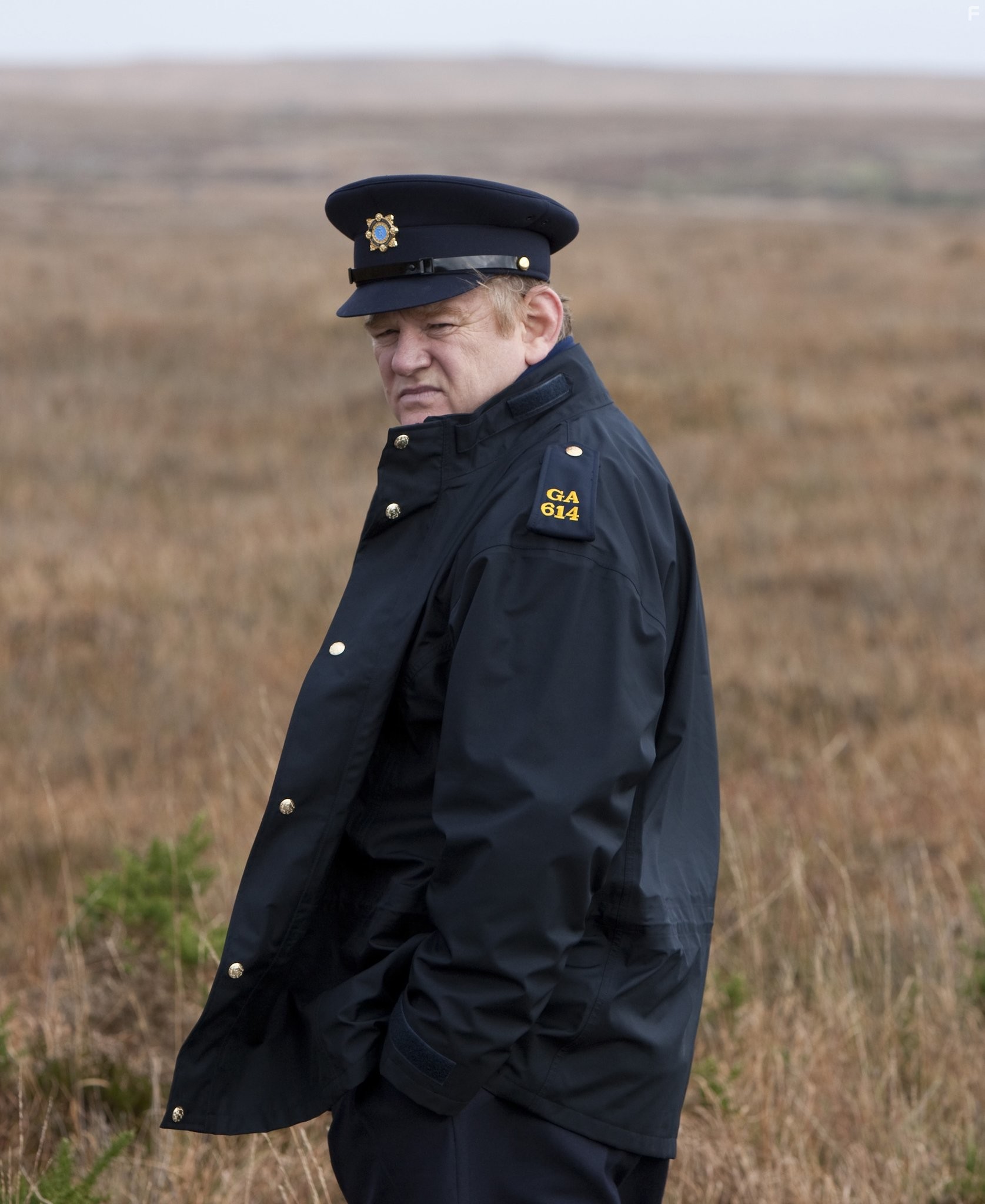 Brendan Gleeson in Однажды в Ирландии (2011)