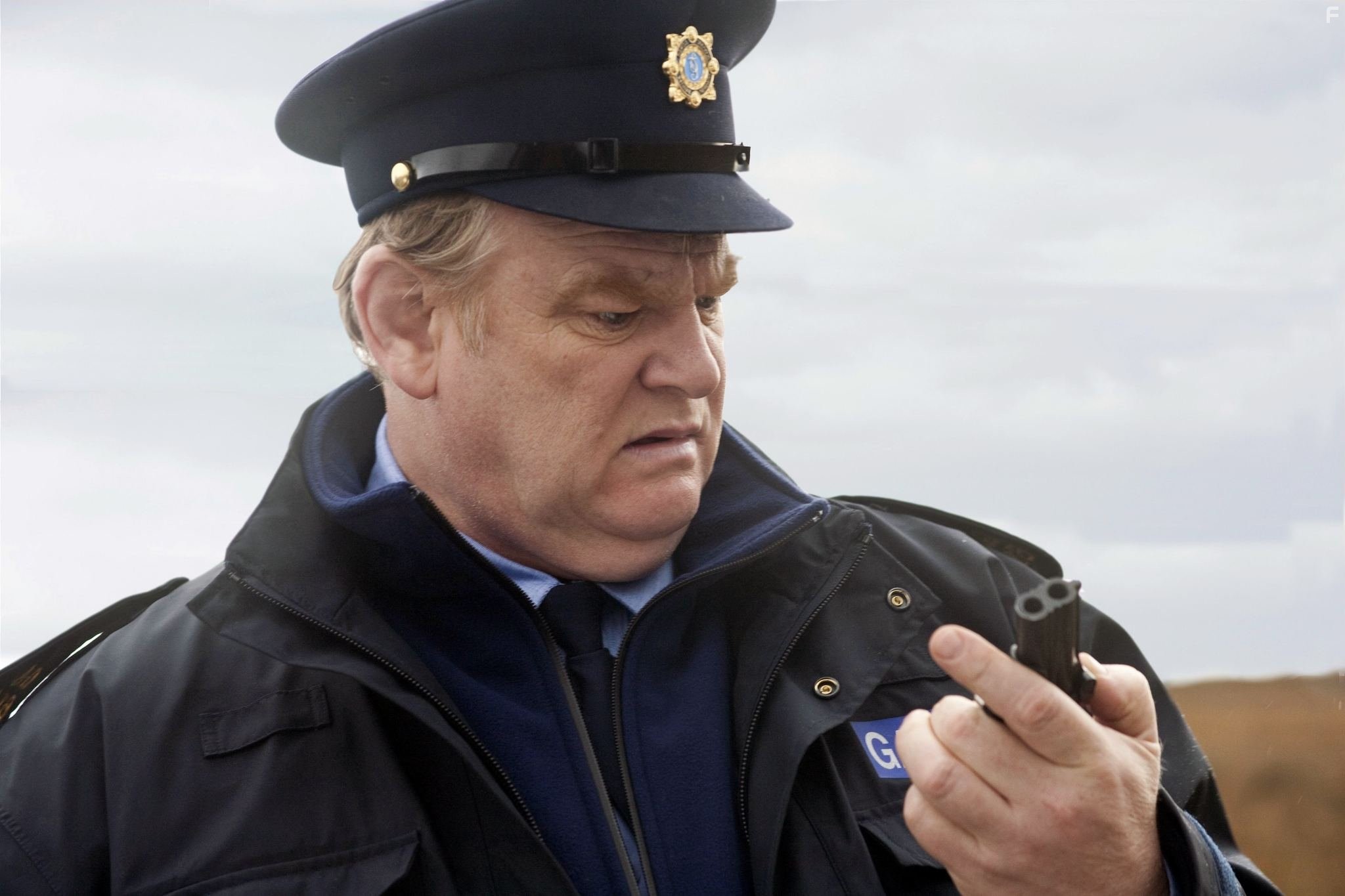Brendan Gleeson in Однажды в Ирландии (2011)