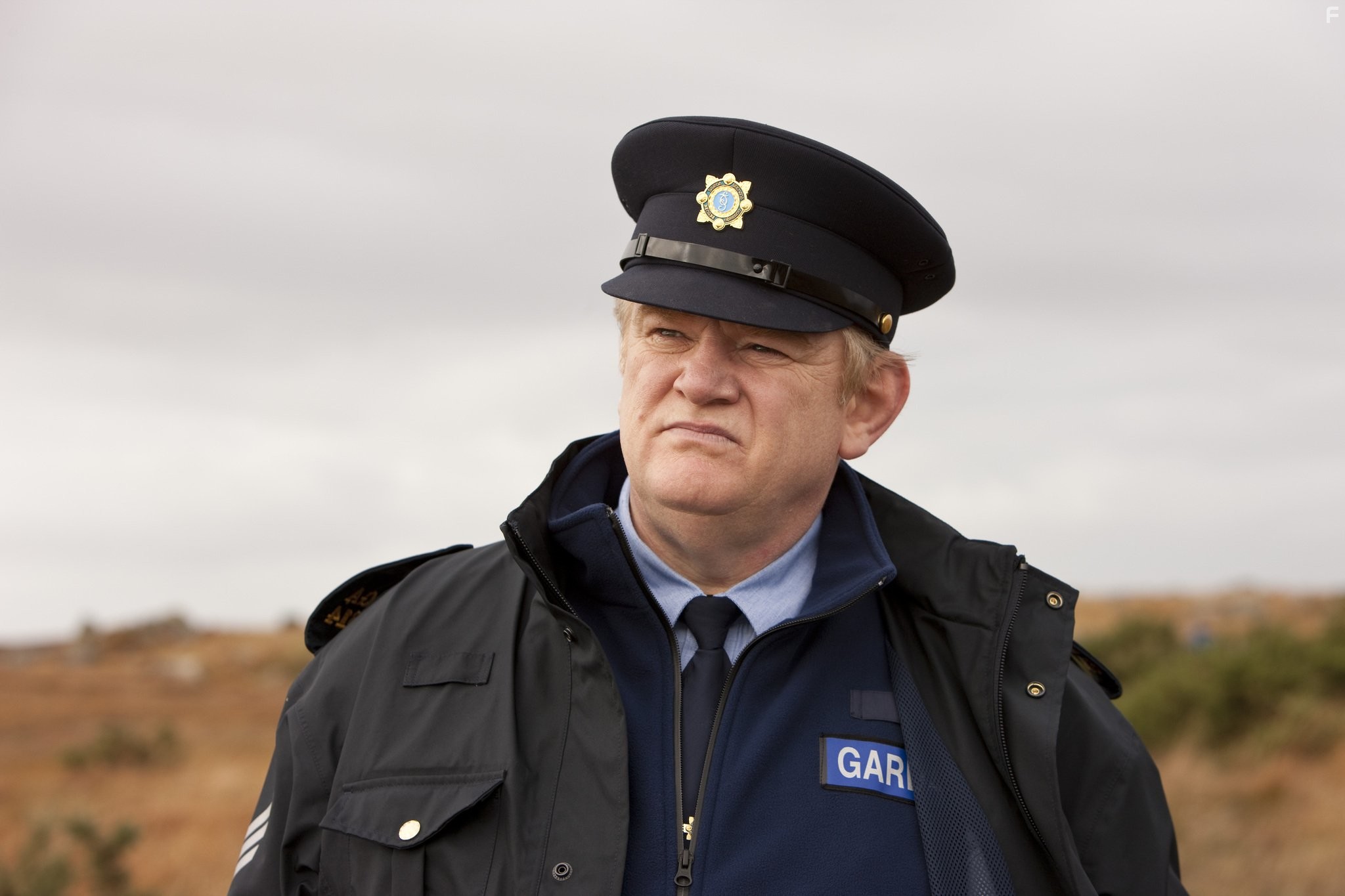 Brendan Gleeson in Однажды в Ирландии (2011)