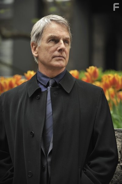 Mark Harmon in Верный выстрел (2011)