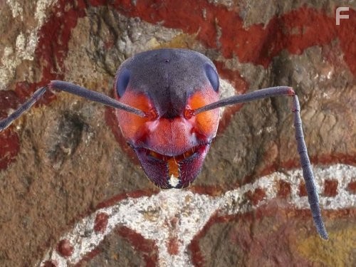 Древние пришельцы (2009)