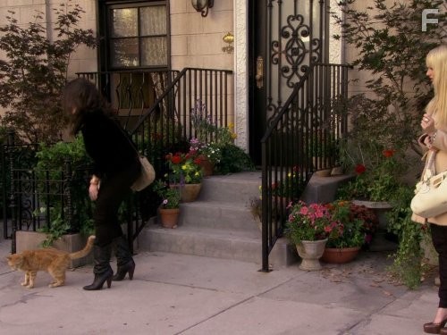 2 Девицы на мели (2011)