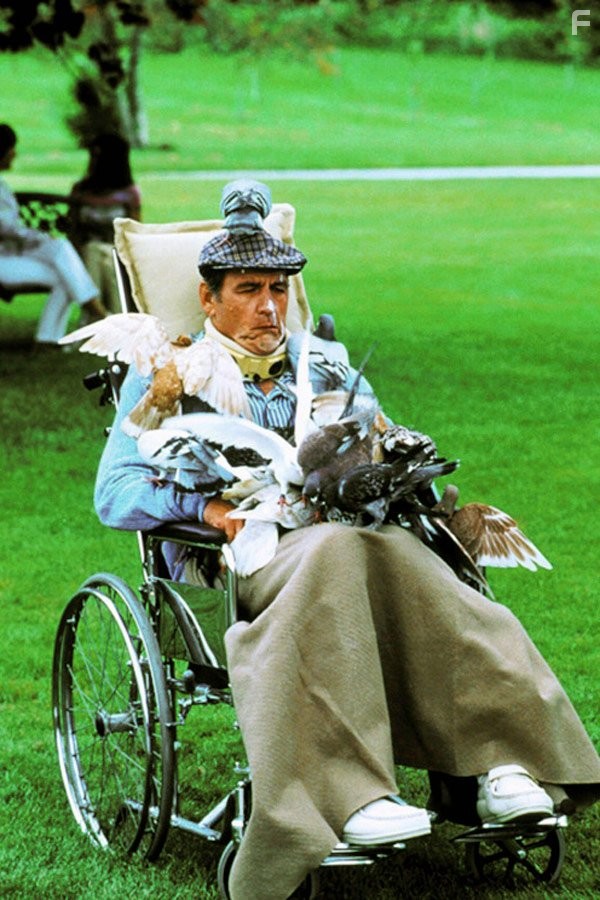 Richard Jenkins in Скажи, что это не так (2001)