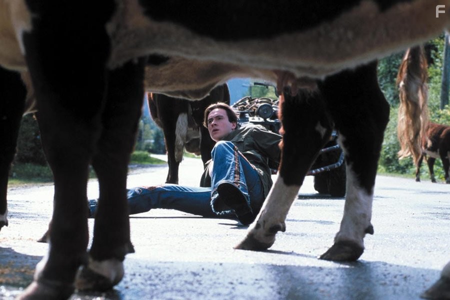 Chris Klein in Скажи, что это не так (2001)