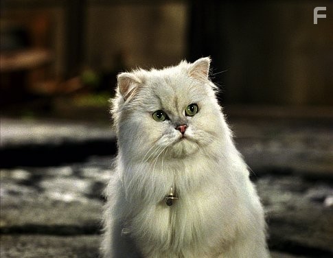 Стюарт Литтл 2 (2002)