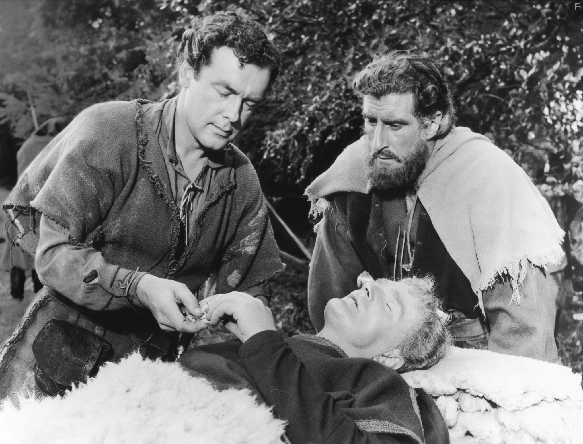 Меч Шервудского леса