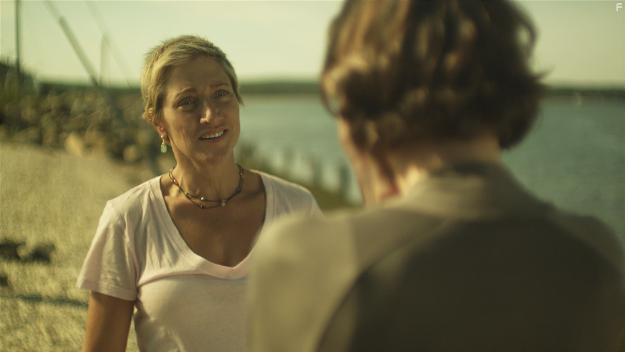 Edie Falco in 3 Backyards (2010)
