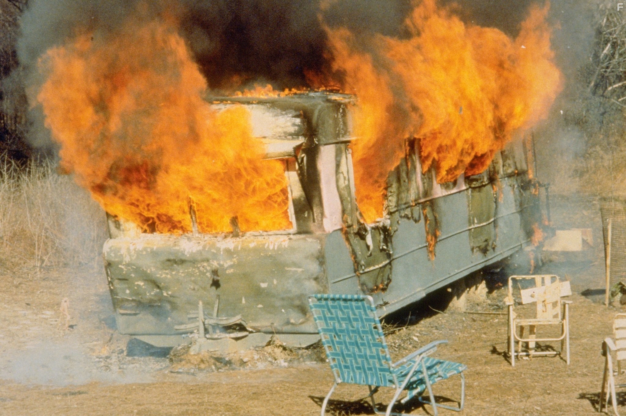 Розовые фламинго (1972)