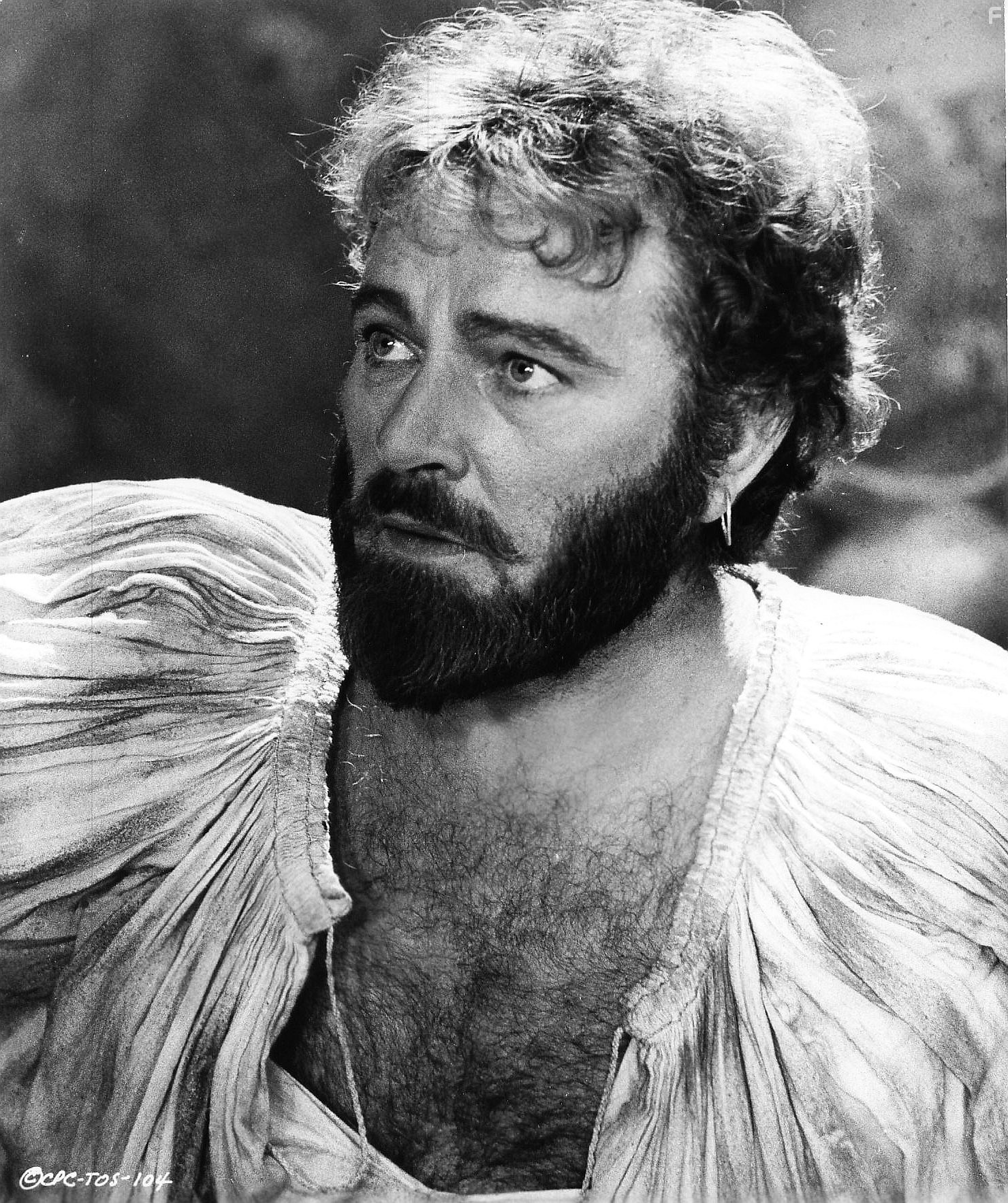 Richard Burton in Укрощение строптивой (1967)