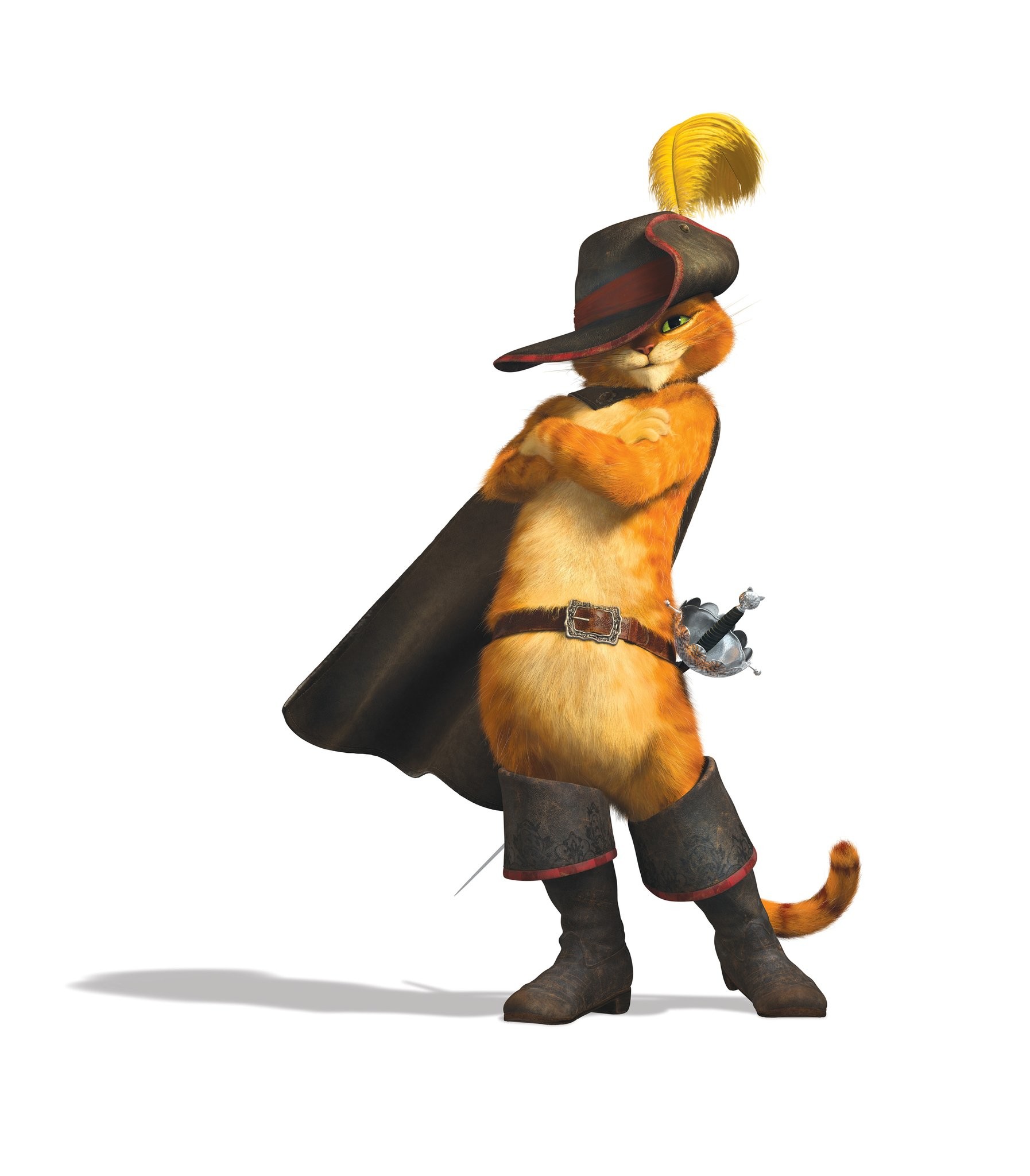 Кот в Сапогах (2011)