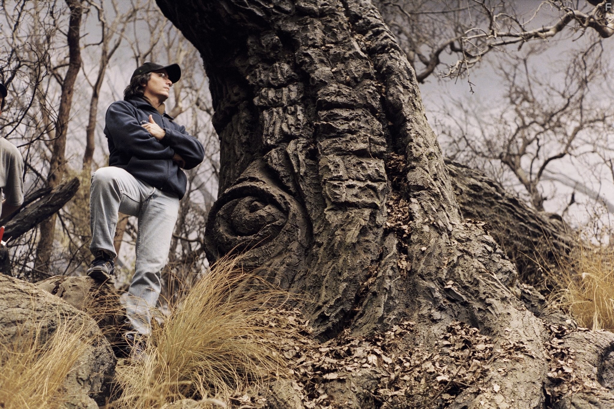 Brad Silberling in Лемони Сникет: 33 несчастья (2004)