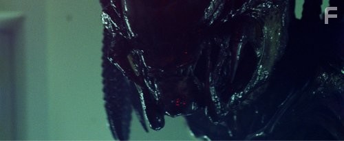 Чужие против Хищника: Реквием (2007)