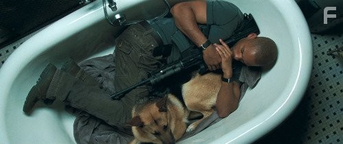 Will Smith and Kona in Я легенда (2007)