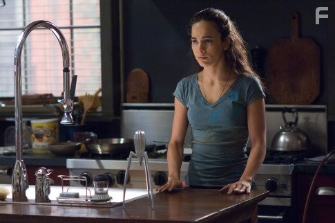 Alice Braga in Я легенда (2007)