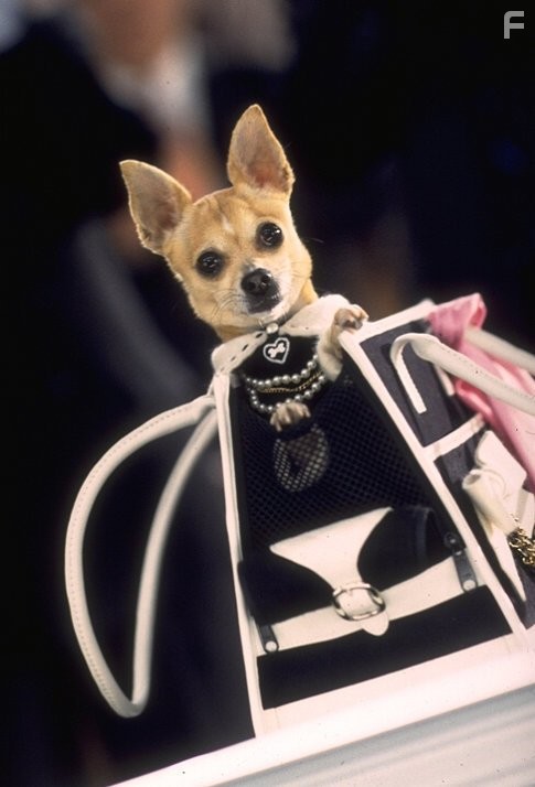 Блондинка в законе 2 (2003)