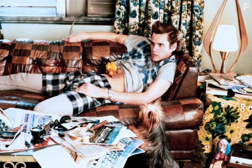 Эйс Вентура: Розыск домашних животных #13